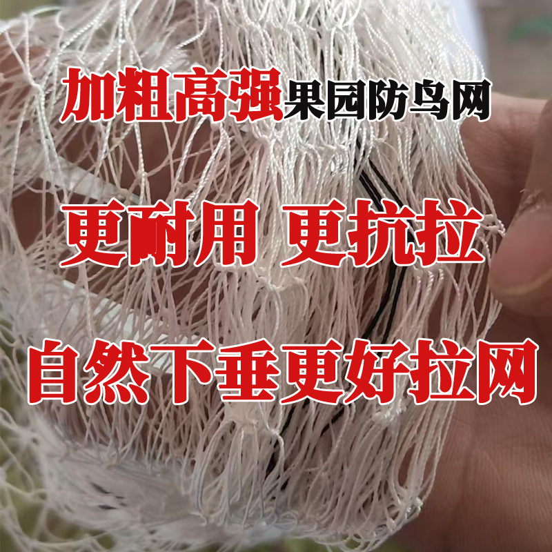 果园防鸟网果树整体全覆盖葡萄园草莓露天天网高强涤纶鱼塘尼龙网