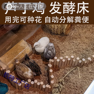 �J���u�|�ϰl�ʹ��u��|�ϰl�͔[���B�i�u���Z�B� ����|��