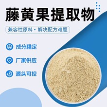 藤黄果提取物60%羟基柠檬酸药食同源类白色粉末 水溶藤黄果提取物