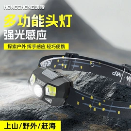 户外头灯;室外壁灯;庭院灯