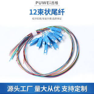 12-core SC interface single mode bundle pigtail three-ring insert SC/UPC plug outdoor square head optical fiber jumper 0.9