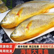 海捕大黄鱼整条大黄鱼速冻独立包装大黄花鱼餐饮商用批发顺丰包邮