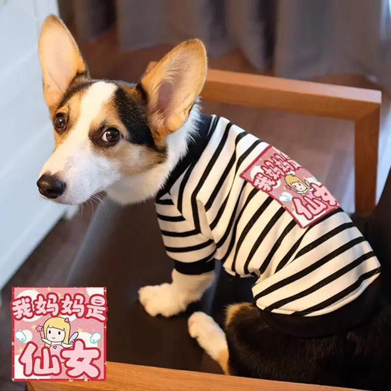 Одежда для собак весной и осенью тонкий анти-выпадения волос Koji Tedby Bear Шнауцер небольшой полосатый свитер с принтом