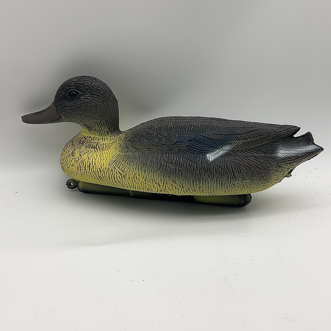 Pato hembra nuevo