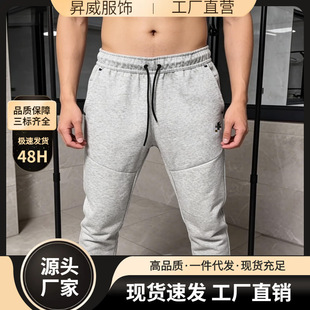 2025AJѝ�ӳ��д������eѝŮᘿ������lѝ��H�\��ѝ���_4496���m