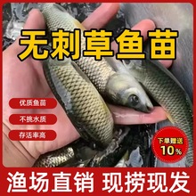 ���|��Ҏ����~����~���~�絭ˮ�Bֳʳ�ô������~�齭����~�~��