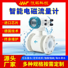 防爆防腐智能电磁流量计数显一体分体式废污水泥浆管道插入式dn50