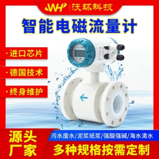 防爆防腐智能电磁流量计数显一体分体式废污水泥浆管道插入式dn50