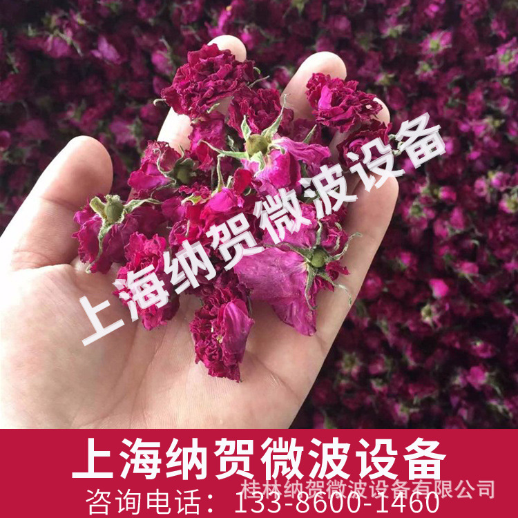 桂花茉莉花玫瑰花微波真空智能干燥线，花茶微波干燥杀青加工设备