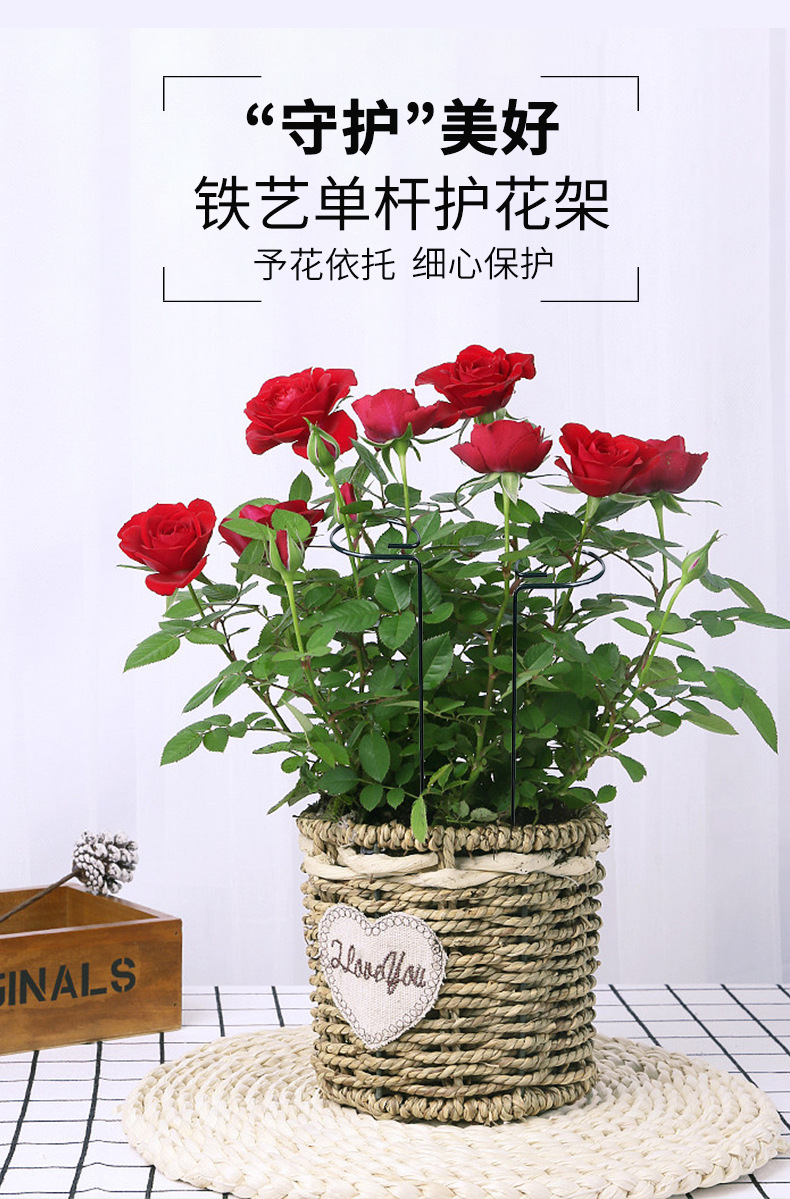 ���յ���֧��_02.jpg