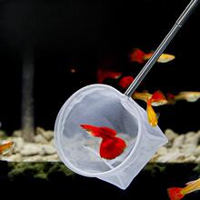 �~�דƾW���wС�~��ˮ�����~�r���W�O�ƈA���~�W�����W�ƾW�O