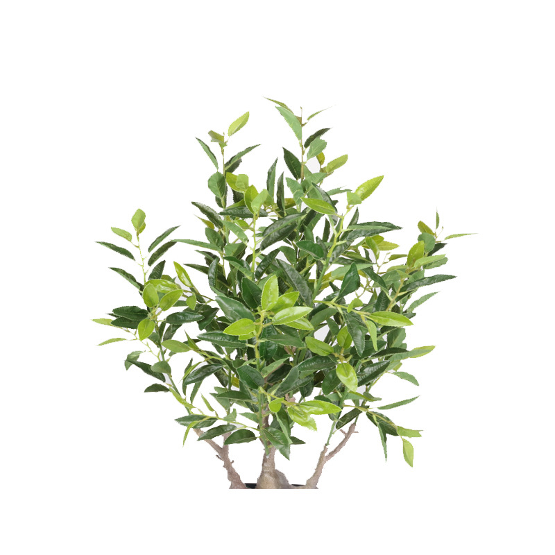 XRS-063 7#盆栽毛尖茶叶360叶 (4).jpg