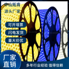 メーカー直販、越境供給、トップモデルの銅線ライト、卸売価格、請求書発行可能、LED 5050-60D