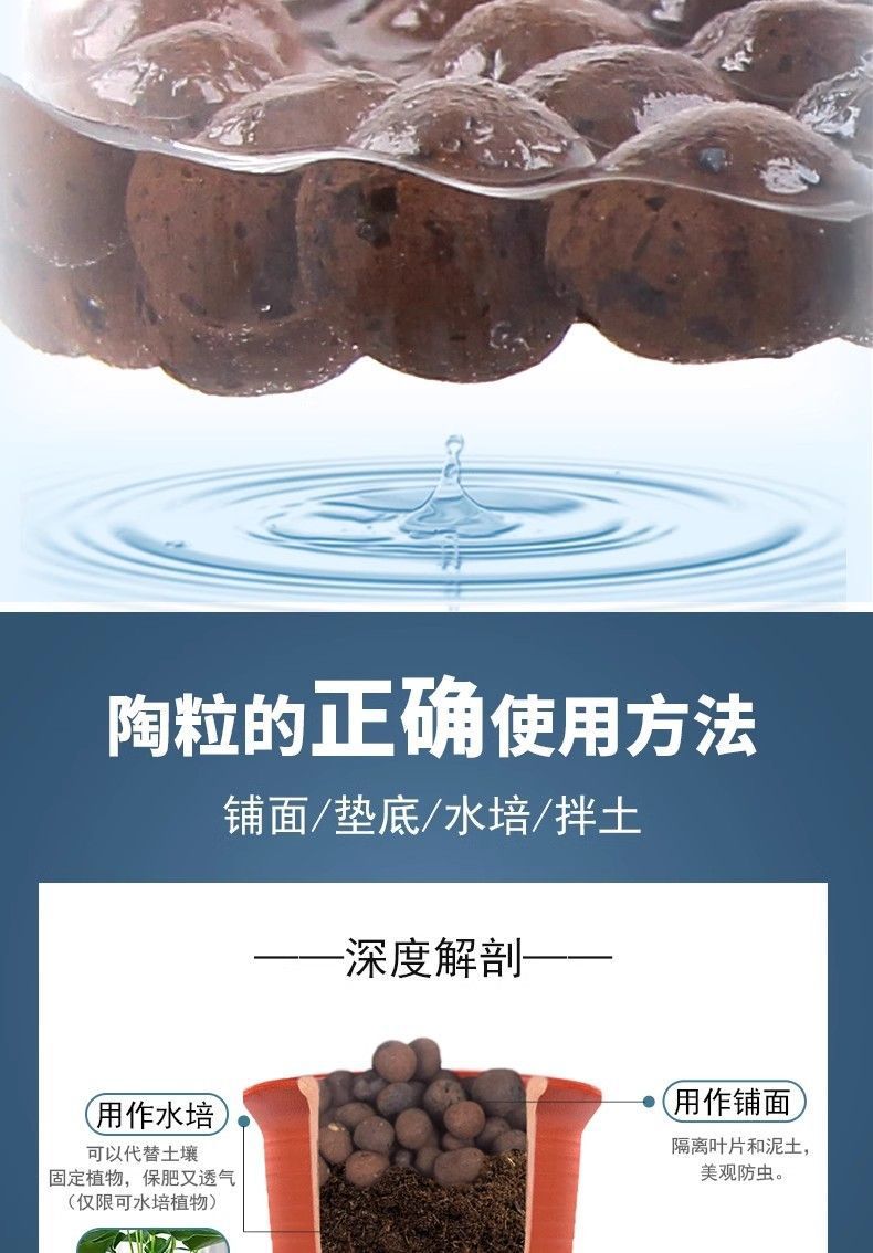 eb648426-c8bc-4dfc-ae39-09ab18c8e8ae.jpe