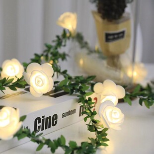 ��Ʒled��������G�~�ٗl������С�۷�õ�廨�҃���DIY�����b�