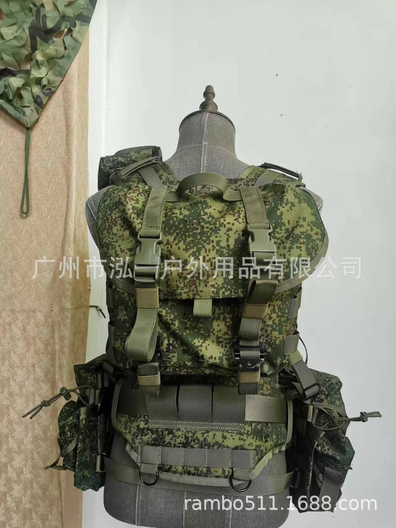 러시아 디지털