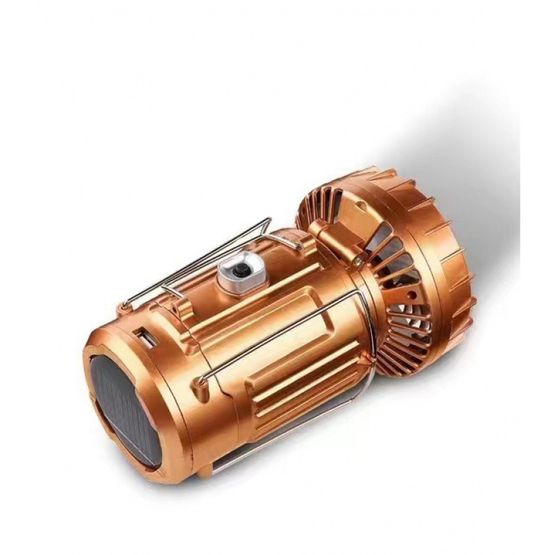 골든 대형 + 선풍기 + 조명