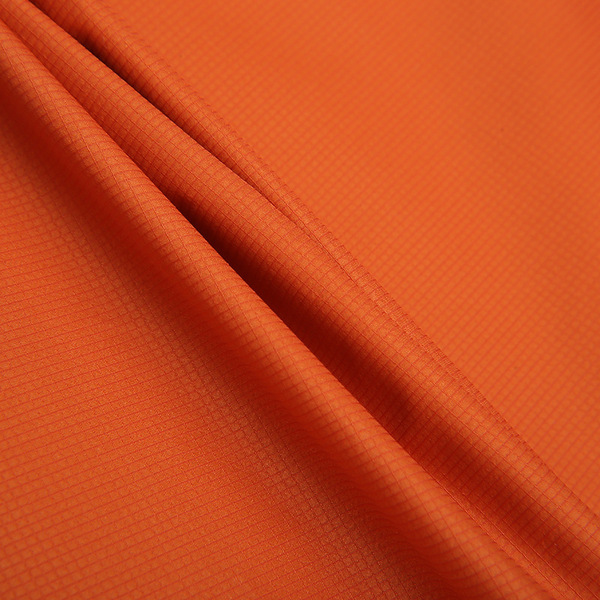 Cloth