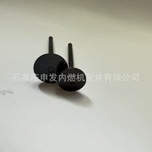 In stock: 3L intake valve 1371154020, exhaust valve 1371554040
