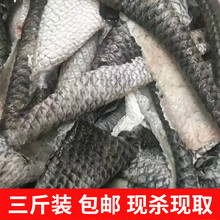 十里馋山东【3斤装】新鲜黑鱼皮鲜活水产鲜去鳞生鱼皮餐饮凉菜食