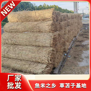 ���� ��ɻ�� �ݺ��ӾG�����ұ�ů �������