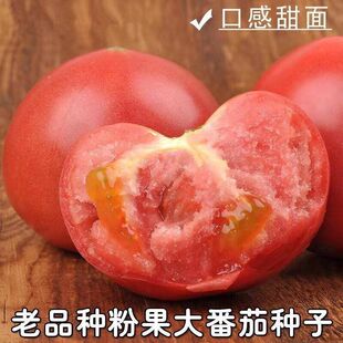 rҸ߮a۷ѷNë۴tNļ߲˷Nݲˈ@̨