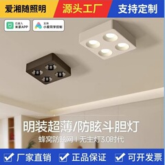 加工されたカスタム表面実装スポットライト、天井取り付け正方形 4 ヘッド 4 目 COB スポットライト LED スポットライト、リビングルーム用メインライトなし