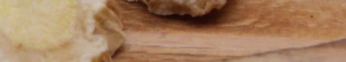 Jie Geng Slices (Platycodon grandiflorus) — Dried Food Herb Root for Tea & Soup preparation