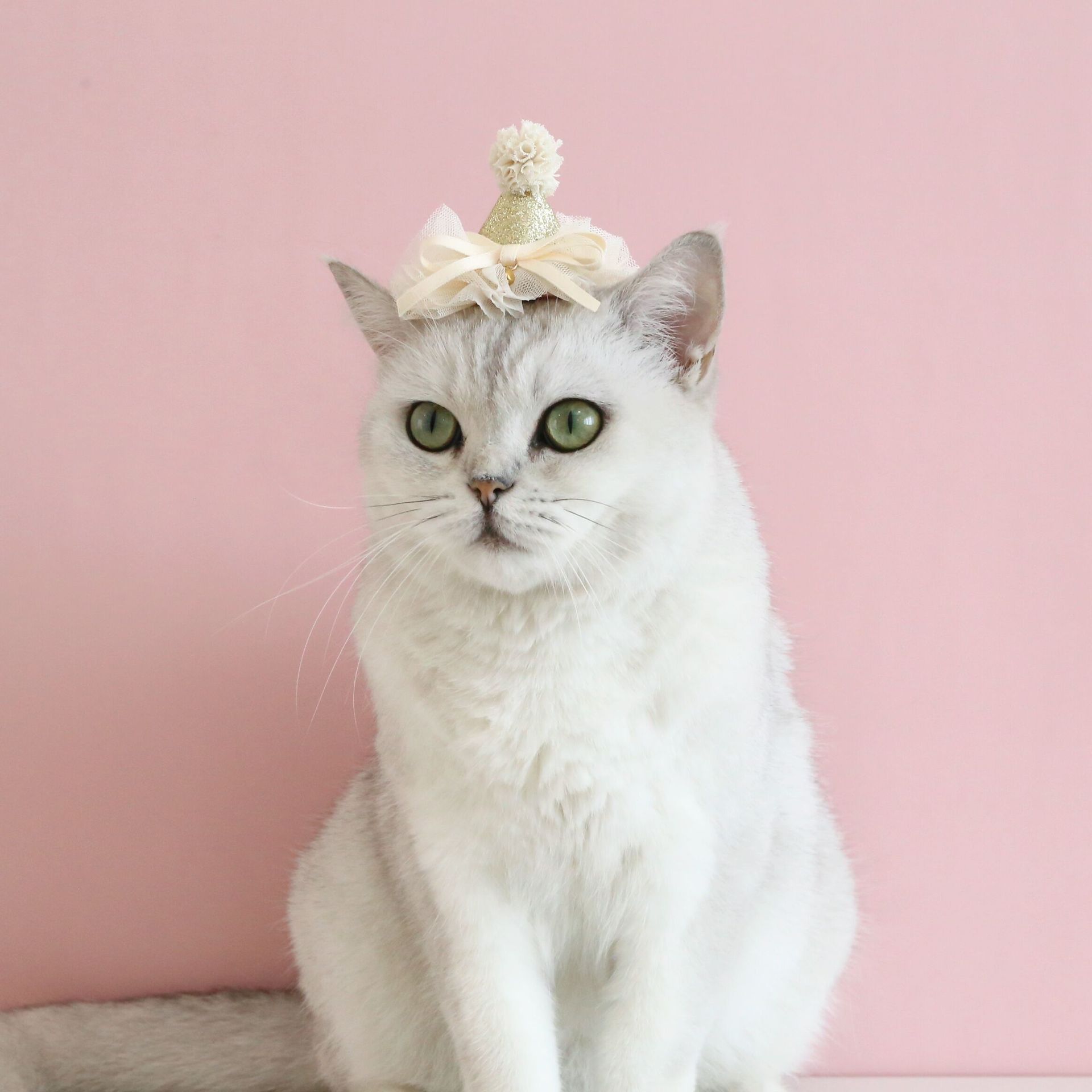 QQ圖片20220926135821