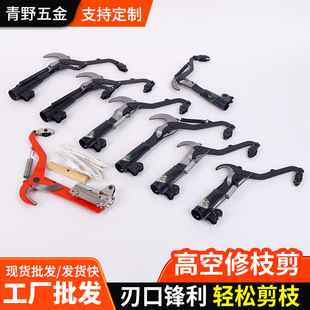 ��֦�����Ӹ���ժ��������֦䏈@����֦�������߿���s���ߵ���