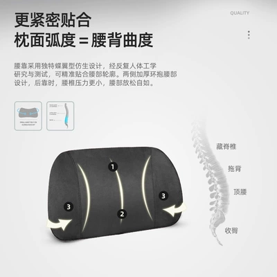 Waist support – Seat Driver's Backrest Lumbar Support