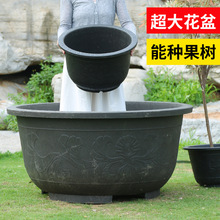厂家直销户外圆形大口径养鱼睡莲荷花缸庭院种果树铁树专用大花盆