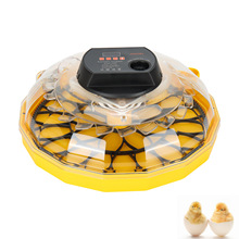 佳农Janoe家用小型自动孵化机智能小鸡孵化机26枚孵蛋器l厂家批发