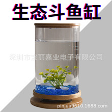 ���D�A���~���������B�~�ׄ����k���ҁ�����΢���׶��~���b�؟�