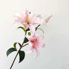 �����̫���������ָ�PU����ٺϻ����͏d�b[���O���Ի�