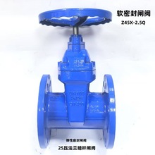 25�����m���U�l�yZ45X-2.5Qܛ�ܷ��l�y���������y DN50-DN300