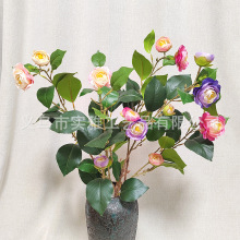 6�^�L֦�����õ ɽ�軨�͏d�����p�ݻ��ܸ߼�����ʽ�������廨ƿ