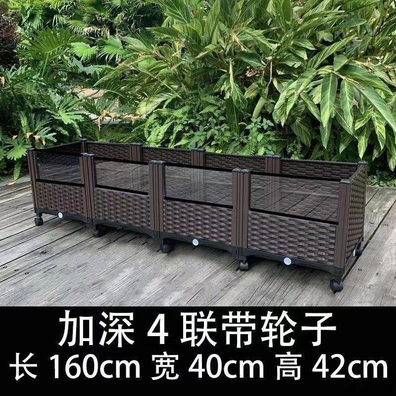 黄縁亀飼育箱、安源台縁閉甲亀苗、造園植物生態環境、亀専用槽飼育箱|undefined