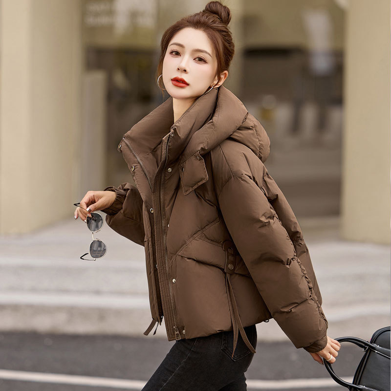 갈색
