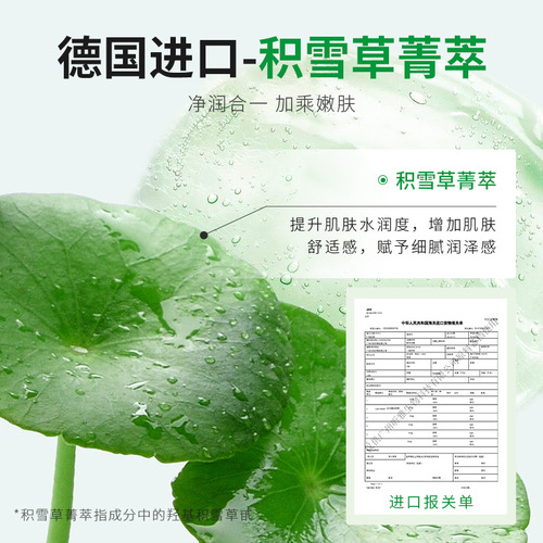 Xiao Mei Professor Centella Asiatica Bubble Mask for Hydration, Moisturization, Deep Cleansing Pores, Deep Cleansing Acne, Oil Control, and Bubbling