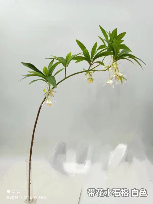 微信图片_20231118150039