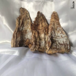 银耳;猴头菇;其他干货