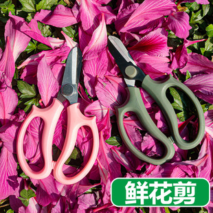 Stainless steel floral shears flower shop pruning shears flower shears garden bonsai tools branch shears scissors factory wholesale