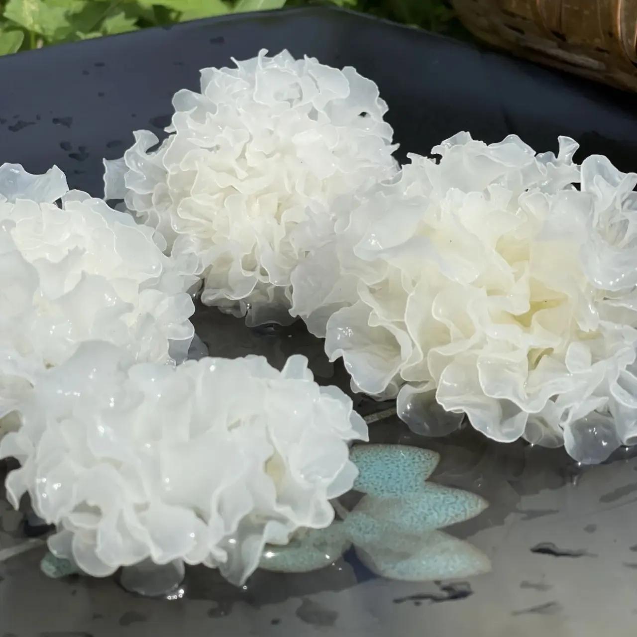 Dried White Fungus Tremella Small Snow Ear Yin Er 500g Sun Dried for Soup and Sweet Desserts key features
