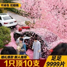 ��Y�������҃����c��Ʒ�Y��Y�ڎ��֔Q����Ͳ