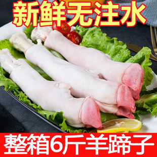 �������r��������r��������������ֻ��צ����ʳ�����r���_�����l