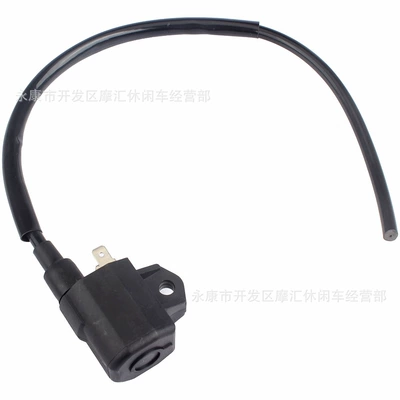 Suitable for Haojue Suzuki An125 Ltz90 Neptune Hj125T-7 High-Voltage Ignition Coil (Other power supply, ignition system)