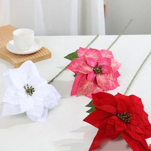 �Ҿ��b���һƷ�t���Ƶ�͏d�҃Ȳ��üٻ���Y�������û�ˇ���l