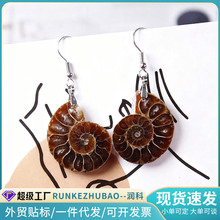 跨境天然海螺耳饰切片螺化石耳坠饰合金银水晶工艺品饰品厂家批发