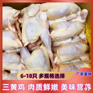 ������rȫ�������S�uͯ���u�חl�u�ߵ��uɢ�B����19��6-18ֻ���u